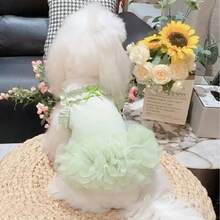New Spring/Summer Pet Clothes, Fluffy Tutu Dress, Wedding Ceremony Outfit, Ballet Tulle Skirt For Dogs & Cats - Green - View 5