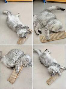 1pc Cat Toy Pillow And Scratching Pad, Suitable For Solo Play And Intimate Interaction, Keeps Your Feline Friend Happy And Calm. The Perfect Gift For Your Cat. - View 3