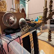 Small Animal Chewing Toy Apple Wood Block Cage Hanging Snacks Suitable For Hamsters, Rabbits, Parrots, Chinchillas, Guinea Pigs, Squirrels - View 4