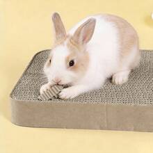 1个加厚纸板兔子磨牙玩具，小型宠物玩具，仓鼠玩具，鹦鹉玩具，喙爪磨牙栖木，适合小型宠物和鸟类 - 彩色 - 查看 6