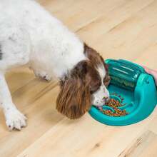 Outward Hound By Nina Ottosson Spin N' Eat Dog Puzzle And Slow Feeder, Level 2 Intermediate Enrichment Toy, Green - Gạch trang trí hình chó chủ đề Giáng sinh (Đỏ, Trắng, Xanh lá) - Xem 8