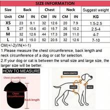 可爱宠物荷叶边连衣裙，粉色条纹图案，荷叶边下摆，面料柔软，适合小型/中型猫狗日常穿着。 - 粉色 - 查看 3