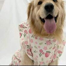 一件碎花狗狗连衣裙，可爱的粉色碎花连衣裙，适合金毛寻回犬、萨摩耶犬、拉布拉多犬等大型犬。 - 粉色 - 查看 7