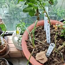 10/15/20个透明植物通气管 - 轻便耐用的植物根部通风管，防止根腐病，改善排水，易于安装于室内/室外，适用于盆栽植物、草坪、幼苗等。 - A - 查看 2