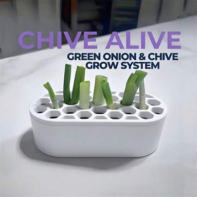 1 Set Scallion Regrowth Kit - No Skills Needed, Easy Home Scallion Planting | Suitable For Balcony, Windowsill & Small Spaces Compact System | Fast Scallion Regrowth