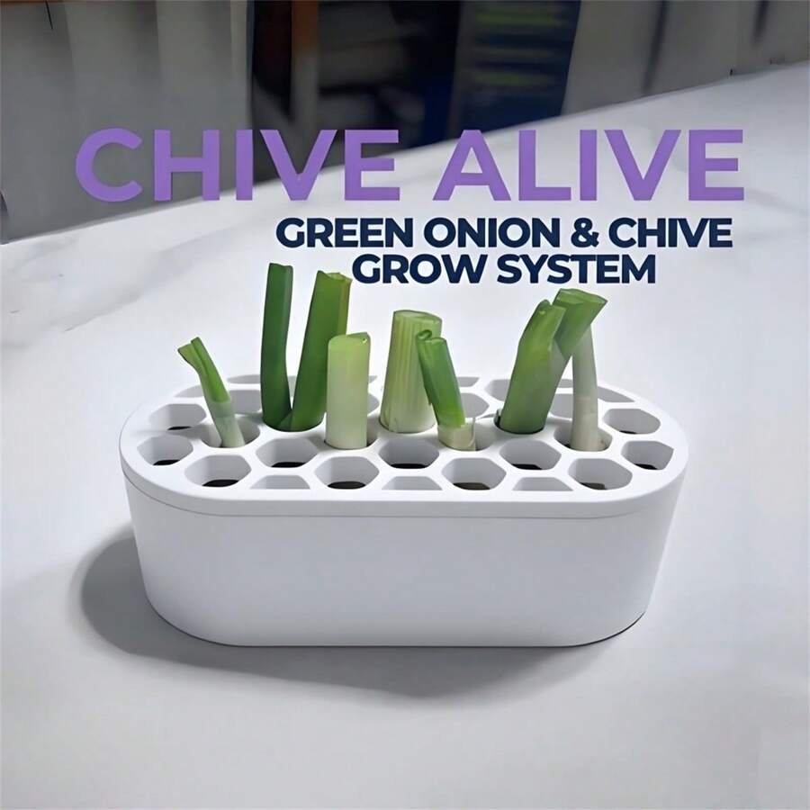 1 Set Scallion Regrowth Kit - No Skills Needed, Easy Home Scallion Planting | Suitable For Balcony, Windowsill & Small Spaces Compact System | Fast Scallion Regrowth - A - View 1