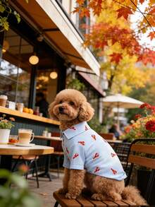 Camisa de gato con estampado de langosta a rayas, ropa ligera y transpirable para perros para primavera/verano - Celeste - Ver 11