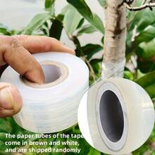 1 Roll Transparent Self-Adhesive Garden Tape - Multi-Purpose Plant Transplanting And Wound Care Tape, Gardening Lover, Garden Tying Knot > Wrapping String - Multicolor - View 5