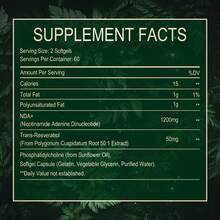 NAD+ Resveratrol – Unterstützt Die Zellgesundheit, Wirkt Antioxidativ, Hellt Den Teint Auf, Fördert Die Gesundheit Von Haut, Haaren Und Nägeln, Steigert Die Energie - 120 Kapseln - 120 Kapseln - Übersicht 2