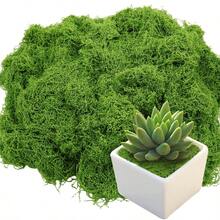 300g/10.58oz, 200g, 100g, 40g Simulated Moss Lawn, Artificial Fake Moss Micro Landscape Layout, Green Plant Lawn, Potted Plant Window Decor Landscape Design - Multicolor - View 4