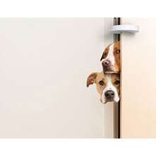 Door Pinch Guard And Door Slam Stopper 6pk. Use Safety Door Guard Made Of Soft Foam To Keep Door Open. Serves As A Protector For By - White - View 5
