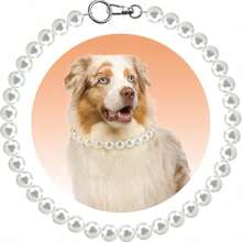 Adjustable Faux Pearl Pet Collar, Elegant Minimalist Luxury Style, Fashionable Durable Sturdy, Suitable For Cats And Dogs - Multicolor - View 9