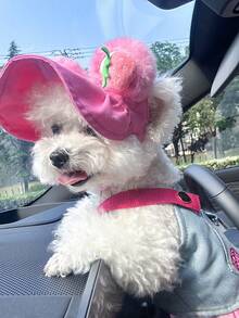 2件套宠物服装，狗狗猫咪套装，小型犬幼犬服装，可爱时尚舒适连衣裙+帽子套装，粉色时尚 - 彩色 - 查看 4