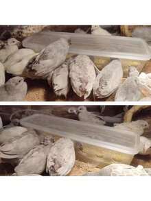 1件自動鳥類餵食器，8孔大容量家禽餵食器，防浪費防髒設計，適用於餵食麻雀、金翅雀、鶉鳥、鴿子、小雞和鴨子，室內/室外懸掛或地面使用，送給鳥類愛好者、爸爸、媽媽、家人的禮物 - 餵食器 - 查看 6