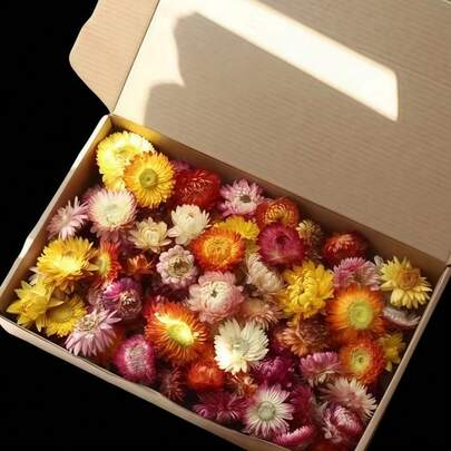 Bulk Handmade Chrysanthemum Flower Heads, Dried Wheat Straw Chrysanthemum Wholesale, Colorful Persian Chrysanthemum