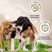 1支宠物滴耳液，猫狗耳垢清除剂，除螨，除臭，止痒，抗菌耳液 - 彩色 - 查看 4