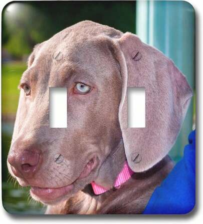 3dRose LSP_206583_2 Weimaraner Puppy Portrait - Double Toggle Switch