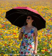 Umbrellas And Rain Hat Umbrellas - Azul - 查看 7