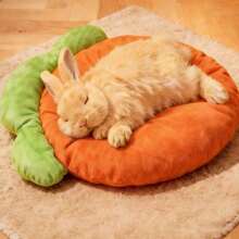 1pc Pet Mat, Rabbit Mat, Rabbit Winter Warm Mat, Suitable For All Seasons, Small Pets (Like Hamster, Rabbit, Guinea Pig) Bed - Multicolor - View 3