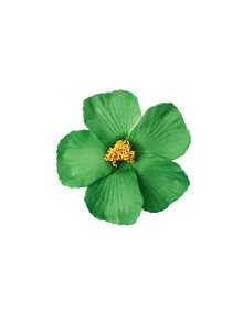 9 Pieces Of Hawaiian Flower Hairpins In Random Colors, Women's Artificial Flower Hairpins, Suitable For Holiday Beach Parties, Summer Tropical Floral Hair Accessories, Girls' Holiday Gifts, Flat Claw Clips, Hair Slides, Hair Claws, Head Accessories - View 13