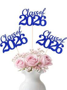 2026届毕业派对花瓶插片，黑色、蓝色、金色，2026届毕业班桌面装饰摆件，带支架的毕业派对装饰，2026届毕业派对用品，桌面装饰，摄影道具，毕业祝福，毕业礼物，DIY花瓶插片 - 多色 - 查看 4