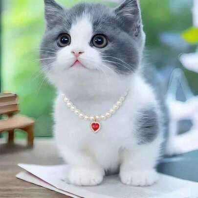 Elegant Faux Pearl Cat/Dog Necklace, Adjustable Size To Fit Neck, Fashionable Durable High-Quality Feel, Comfortable Non-Choking, Luxury Pet Collar For Daily Wear