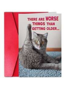 1pc,Funny Birthday Cat Photo Card For Women, Sister, Girls, Mom, Friends, Dad, Brother And All Cat Lovers - View 1