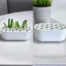 Bộ 5 cây hành lá trồng lại - Không cần kỹ năng, dễ dàng trồng hành lá tại nhà | Thích hợp cho ban công, bệ cửa sổ và không gian nhỏ | Hệ thống nhỏ gọn | Giúp hành lá mọc lại nhanh chóng - A - Xem 3