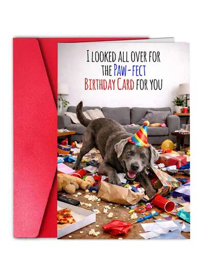 1张趣味生日贺卡，送给男士、丈夫、他、爸爸、妈妈、她、女士、妻子——萌宠生日贺卡，可爱幽默，4.92x6.93英寸折叠贺卡，附信封——适合16岁、18岁、20岁、21岁、25岁、30岁、35岁、40岁、45岁、50岁、55岁、60岁、65岁、70岁、80岁、90岁生日