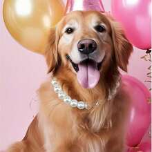 Adjustable Faux Pearl Pet Collar, Elegant Minimalist Luxury Style, Fashionable Durable Sturdy, Suitable For Cats And Dogs - Multicolor - View 4