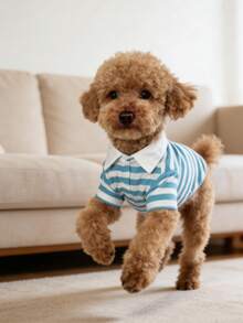 1pc 2026 New Striped Pet Clothes, Ins Style Classic Polo Shirt For Cats & Dogs, Suitable For Indoor & Outdoor, Viral Photo Prop - Blue and White - View 4