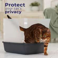 4PCS Cat Litter Box Pee Shields,Transparent Easy Clean Splash Guard For Open Top Litter Pan, Cat Pee Shields & Privacy Screen- Litter Box Not Included - Transparent - View 5