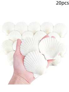 5/10/20pcs Natural Scallop Shell Crafts, 3 Inch White Seashell Home Decor, Seashell Decor For DIY Painting, Baking, Beach, Wedding - Multicolor - View 11