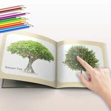 Plant World Learning Big Cards | Nature Awareness | Interactive Study | Holiday Gift Pick - Large Card Book - View 6