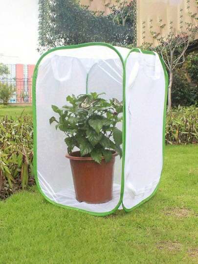 可折叠透明植物罩，适用于宠物和蝴蝶昆虫笼（手柄颜色和有无随机）