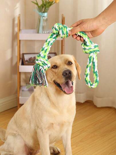 1 قطعة لعبة مضغ للكلاب، لعبة حبل متشابكة متينة مصممة للكلاب المضغ، لعبة تسنين قوية للجراء، لعبة مضغ تفاعلية لتنظيف الأسنان لتخفيف الملل، مناسبة للكلاب المتوسطة والصغيرة