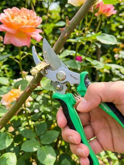 1 chiếc kéo cắt tỉa cây bằng thép không gỉ, tay cầm cao su chống trượt tiện dụng, kéo cắt tỉa cây hiệu quả cao với thiết kế lò xo, thích hợp cho cây ăn quả và cắt tỉa sân vườn.