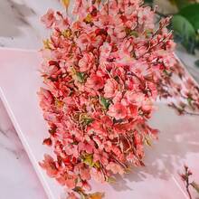 Tarjeta de felicitación con flor de cerezo desplegable - Perfecta para cumpleaños, Día de la Madre, San Valentín, Acción de Gracias y Navidad | Incluye tarjeta de nota y sobre - 1PC - Ver 4