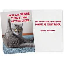 1pc,Funny Birthday Cat Photo Card For Women, Sister, Girls, Mom, Friends, Dad, Brother And All Cat Lovers - View 6