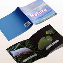 自然探索大卡片 | 户外知识 | 互动学习 | 假日畅销书 - 大卡片冊 - 查看 5