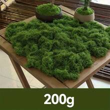 300g/10.58oz, 200g, 100g, 40g Simulated Moss Lawn, Artificial Fake Moss Micro Landscape Layout, Green Plant Lawn, Potted Plant Window Decor Landscape Design - Multicolor - View 12