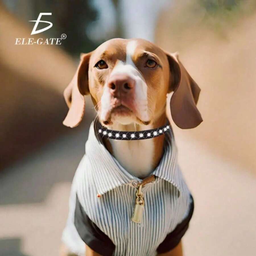 Collar Ajustable con Diamantes de Imitación para Mascotas - Negro - Ver 1