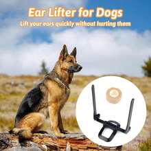 VEWIYT Herramienta de Cuidado de Orejas de Perro,Soporte para Orejas de Perro para Mascotas con Tape, Soporte Vertical para Doberman Pinscher Dog Samoyed, Cachorros De 2 a 6 Meses - Blanco - Ver 6