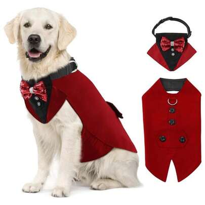 New Pet Tuxedo Suit, Dog Bow Tie, Vest, Collar, Bandana Pet Costume Party Outfit Set, For Corgi, Small/Medium/Large Dogs, Wedding, Photo Shoot