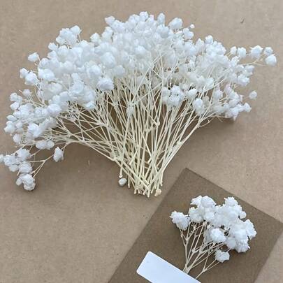 47pcs Elegant Pure White Starry Flowers - Graceful And Refined, Suitable For Home Decor, Wedding Centerpiece, DIY Wreath And Card Making Materials, Ideal For Engagement, Christmas, Valentine's Day Gifts