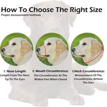 Bozal de cuero duradero - Bozal de antimordeduras y transpirable, adecuado para perros medianos y grandes - Café integral - Ver 5