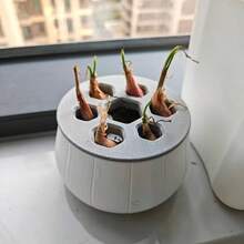 1套大蒜和大葱水培种植套装，家用园艺可重复使用大蒜和大葱再生种植箱，黑白盖套装，易于区分，可重复种植，无土水培箱，操作简单，全年收获 - A - 查看 10