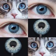 MESIRU 1 Pair Soft 14.0mm Suitable For Daily Wear. Annual Disposable Cosmetic Lenses - Blue - View 1