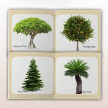 Plant World Learning Big Cards | Nature Awareness | Interactive Study | Holiday Gift Pick - Large Card Book - View 4