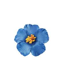 9 Pieces Of Hawaiian Flower Hairpins In Random Colors, Women's Artificial Flower Hairpins, Suitable For Holiday Beach Parties, Summer Tropical Floral Hair Accessories, Girls' Holiday Gifts, Flat Claw Clips, Hair Slides, Hair Claws, Head Accessories - View 9
